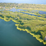 listing image thumbnail with ID 36443